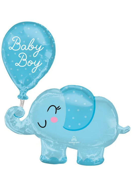 Baby Boy Elephant